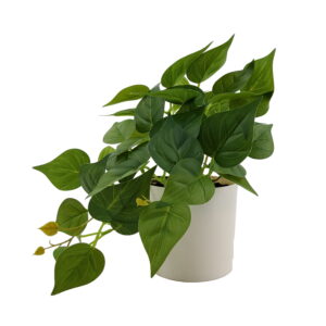 Mainstays Indoor 8''H Artificial Trailing Pothos Plant in White Plastic Pot, Green Color.